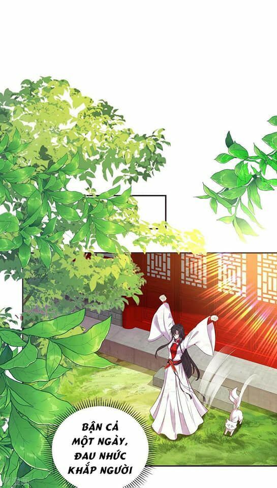 đọc truyện Ta Ở Dị Giới Nuôi Dưỡng Nam Thần: Thần Y Cửu Tiểu Thư Chương 157 ảnh 4 tại Thiên Thai Truyện