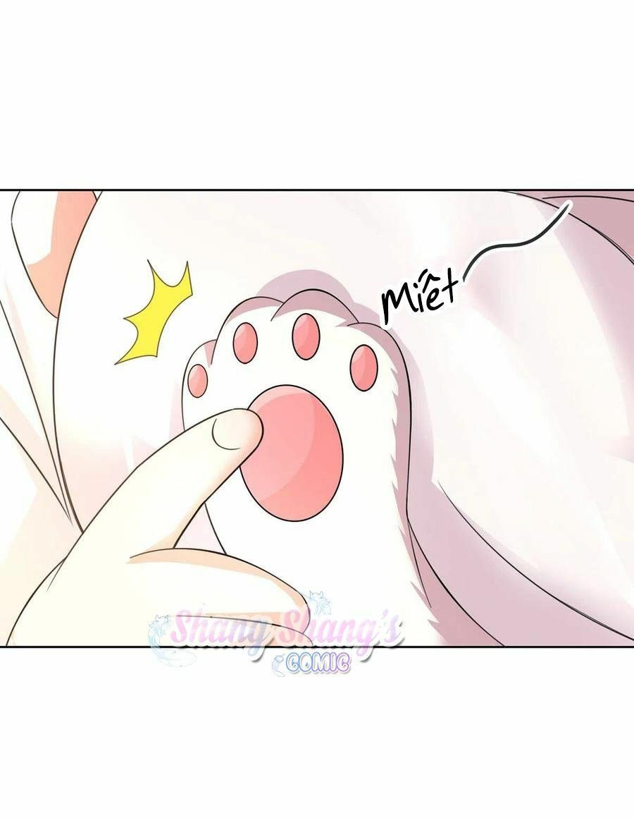 đọc truyện Ta Ở Dị Giới Nuôi Dưỡng Nam Thần: Thần Y Cửu Tiểu Thư Chương 188 ảnh 5 tại Thiên Thai Truyện