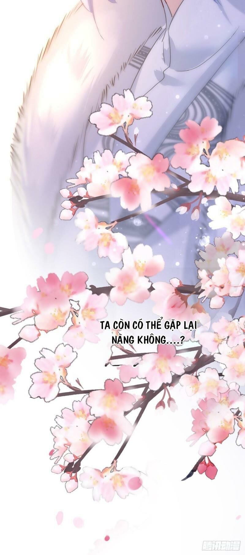 đọc truyện Ta Ở Dị Giới Nuôi Dưỡng Nam Thần: Thần Y Cửu Tiểu Thư Chương 20 ảnh 29 tại Thiên Thai Truyện