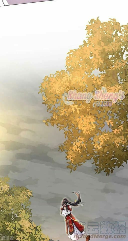 đọc truyện Ta Ở Dị Giới Nuôi Dưỡng Nam Thần: Thần Y Cửu Tiểu Thư Chương 200 ảnh 6 tại Thiên Thai Truyện