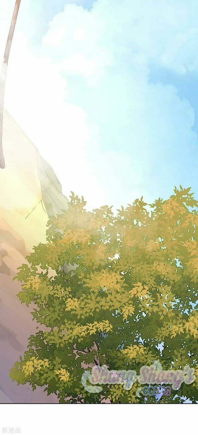 đọc truyện Ta Ở Dị Giới Nuôi Dưỡng Nam Thần: Thần Y Cửu Tiểu Thư Chương 200 ảnh 9 tại Thiên Thai Truyện