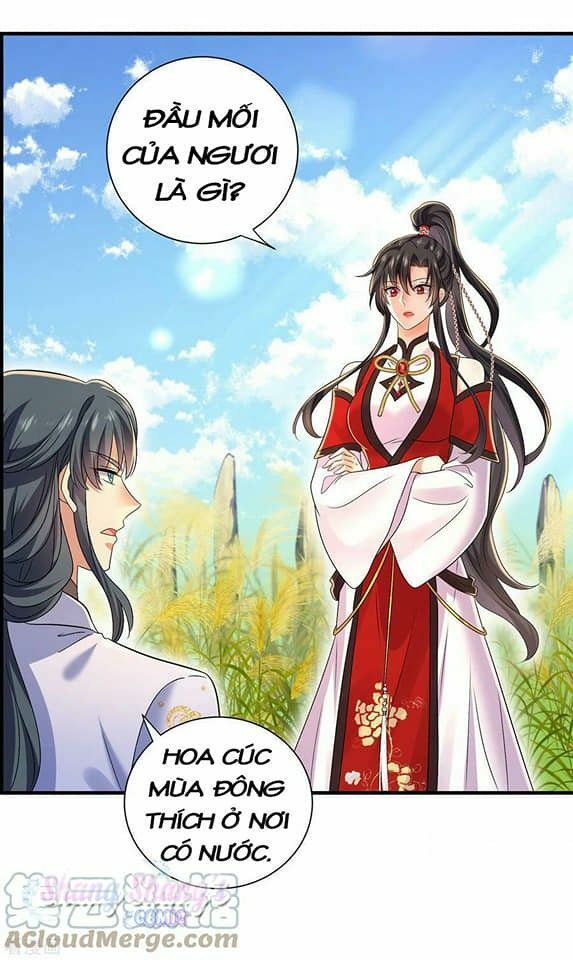 đọc truyện Ta Ở Dị Giới Nuôi Dưỡng Nam Thần: Thần Y Cửu Tiểu Thư Chương 202 ảnh 32 tại Thiên Thai Truyện