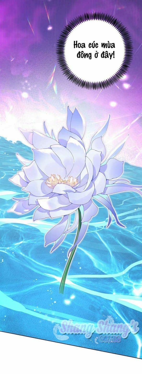 đọc truyện Ta Ở Dị Giới Nuôi Dưỡng Nam Thần: Thần Y Cửu Tiểu Thư Chương 203 ảnh 16 tại Thiên Thai Truyện