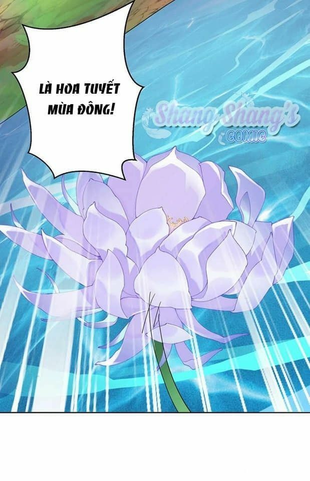 đọc truyện Ta Ở Dị Giới Nuôi Dưỡng Nam Thần: Thần Y Cửu Tiểu Thư Chương 203 ảnh 32 tại Thiên Thai Truyện