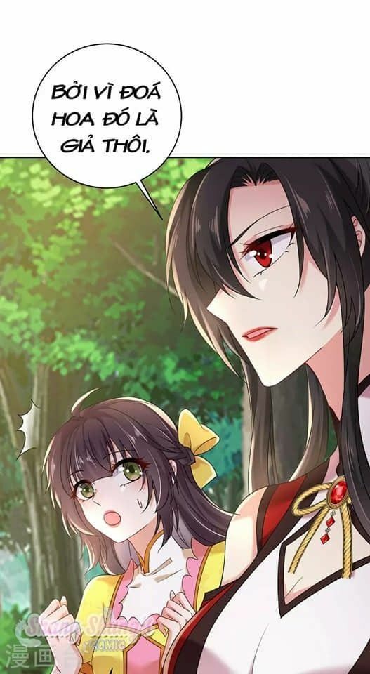 đọc truyện Ta Ở Dị Giới Nuôi Dưỡng Nam Thần: Thần Y Cửu Tiểu Thư Chương 204 ảnh 12 tại Thiên Thai Truyện