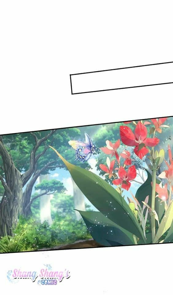 đọc truyện Ta Ở Dị Giới Nuôi Dưỡng Nam Thần: Thần Y Cửu Tiểu Thư Chương 205 ảnh 20 tại Thiên Thai Truyện