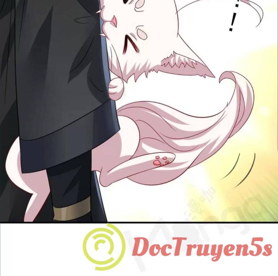 đọc truyện Ta Ở Dị Giới Nuôi Dưỡng Nam Thần: Thần Y Cửu Tiểu Thư Chương 241 ảnh 24 tại Thiên Thai Truyện