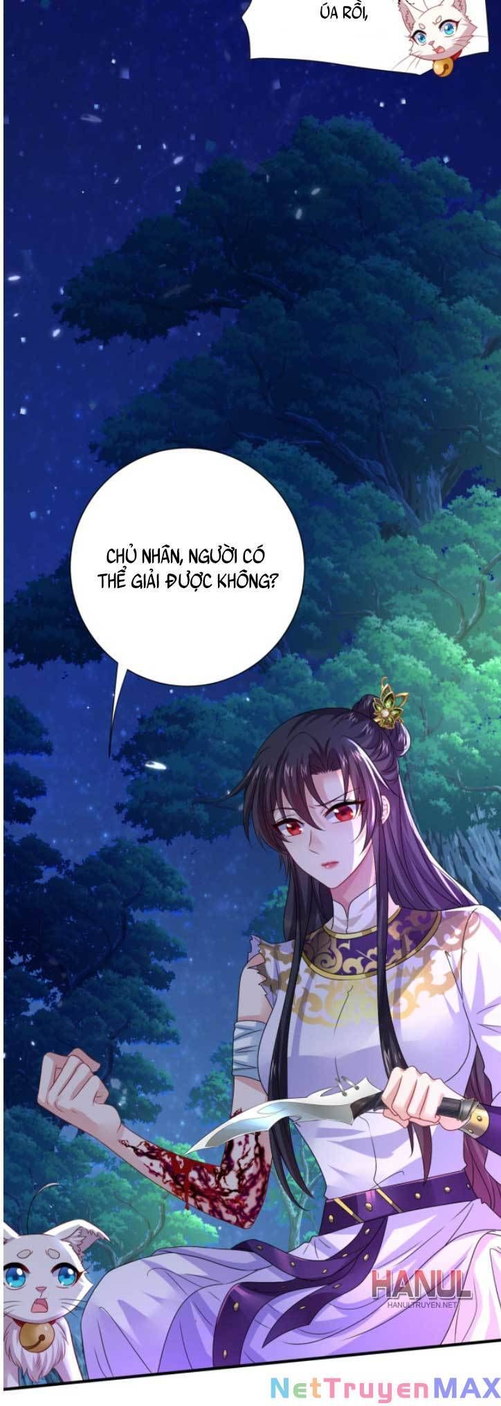 đọc truyện Ta Ở Dị Giới Nuôi Dưỡng Nam Thần: Thần Y Cửu Tiểu Thư Chương 270 ảnh 30 tại Thiên Thai Truyện