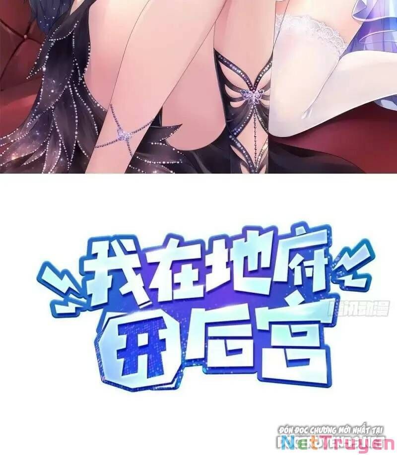 đọc truyện Ta Ở Địa Phủ Mở Hậu Cung Chương 87 ảnh 4 tại Thiên Thai Truyện