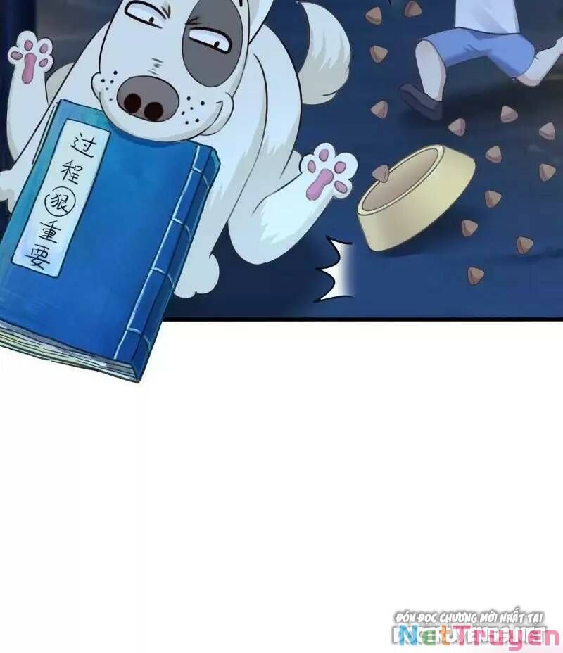 đọc truyện Ta Ở Địa Phủ Mở Hậu Cung Chương 87 ảnh 42 tại Thiên Thai Truyện