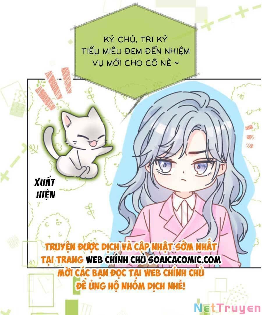 đọc truyện Ta Ở Hiện Đại Làm Đại Boss Chương 23 ảnh 13 tại Thiên Thai Truyện