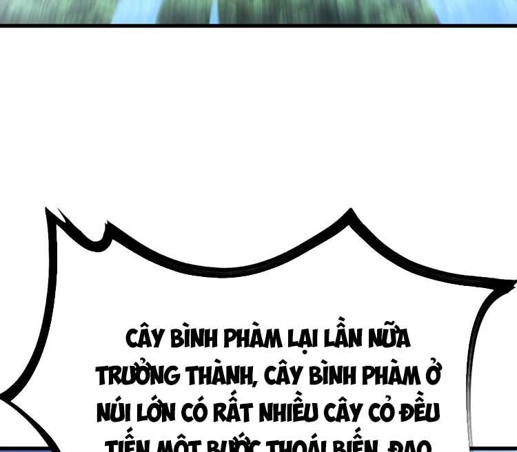 đọc truyện Ta Ở Nhà 100 Năm Khi Ra Ngoài Đã Vô Địch Chương 124 ảnh 18 tại Thiên Thai Truyện