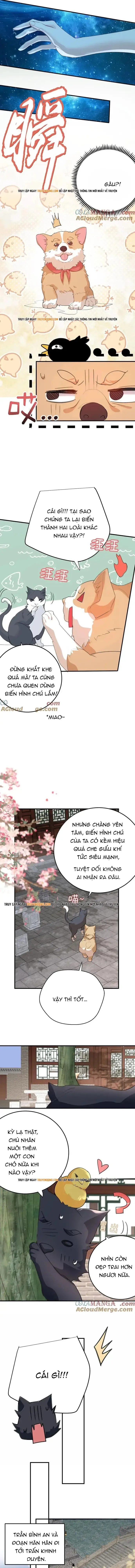 đọc truyện Ta Vô Địch Lúc Nào Chương 303 ảnh 5 tại Thiên Thai Truyện