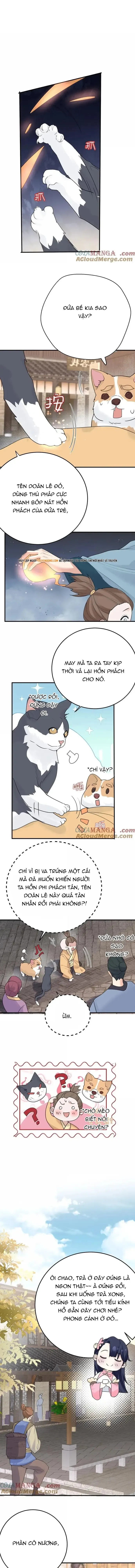 đọc truyện Ta Vô Địch Lúc Nào Chương 304 ảnh 6 tại Thiên Thai Truyện