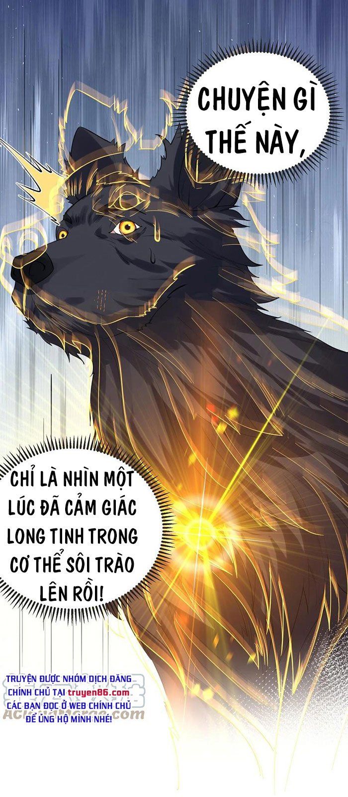 đọc truyện Ta Vô Địch Lúc Nào Chương 37 ảnh 15 tại Truyện Dạ Ký