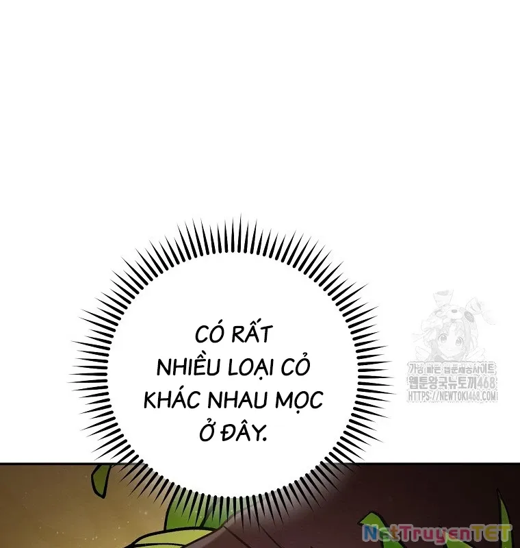 đọc truyện Tái Thiết Hầm Ngục Chương 235 ảnh 84 tại Giả Dược