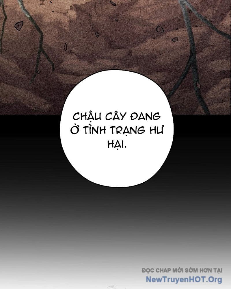 đọc truyện Tái Thiết Hầm Ngục Chương 260 ảnh 43 tại Thiên Thai Truyện