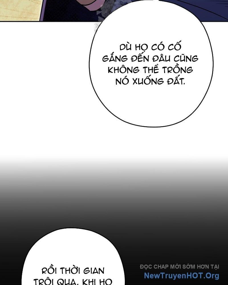 đọc truyện Tái Thiết Hầm Ngục Chương 260 ảnh 10 tại Thiên Thai Truyện