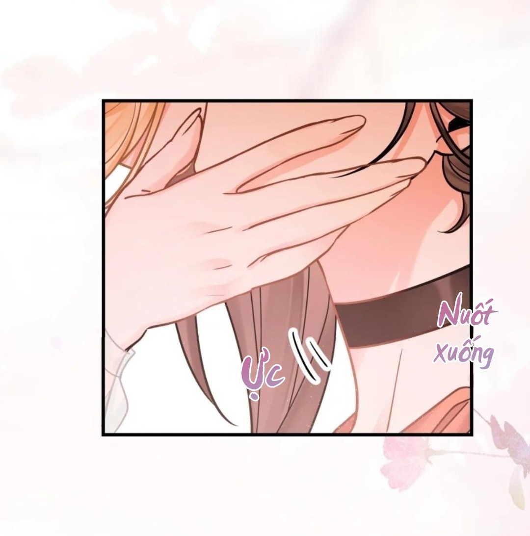 đọc truyện Tâm Bất Thạch Chương 11 ảnh 2 tại Thiên Thai Truyện