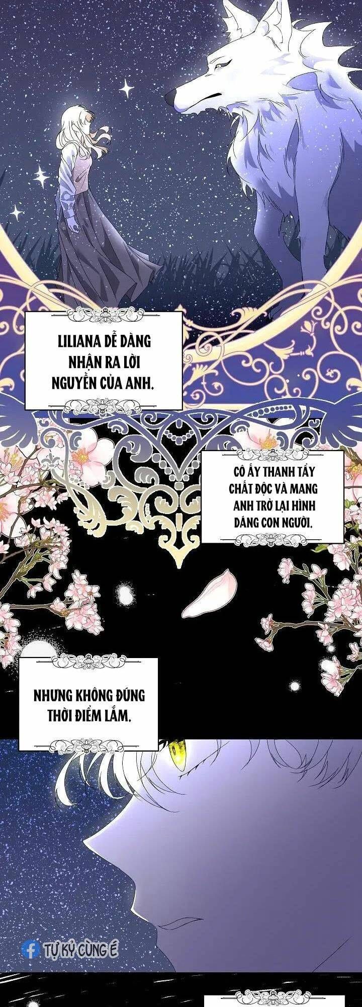 đọc truyện Tạm Thời Tôi Sẽ Bảo Vệ Nam Chính Chương 1 ảnh 40 tại Giả Dược