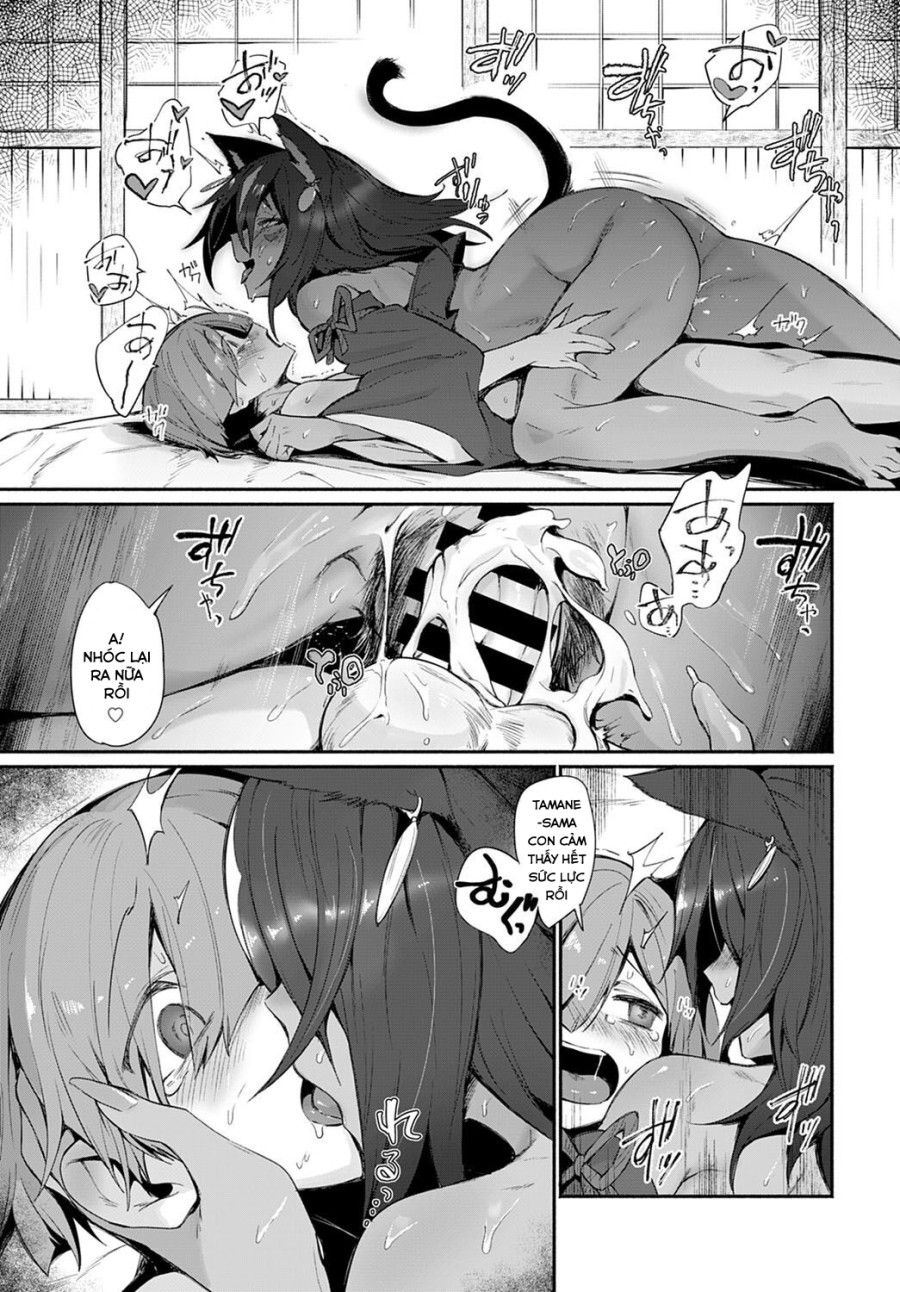 Tamane-sama No Kami Fudeoroshi Oneshot page 19 - Giả Dược