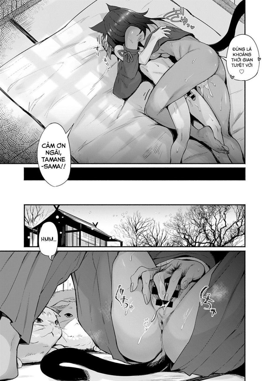 Tamane-sama No Kami Fudeoroshi Oneshot page 25 - Giả Dược