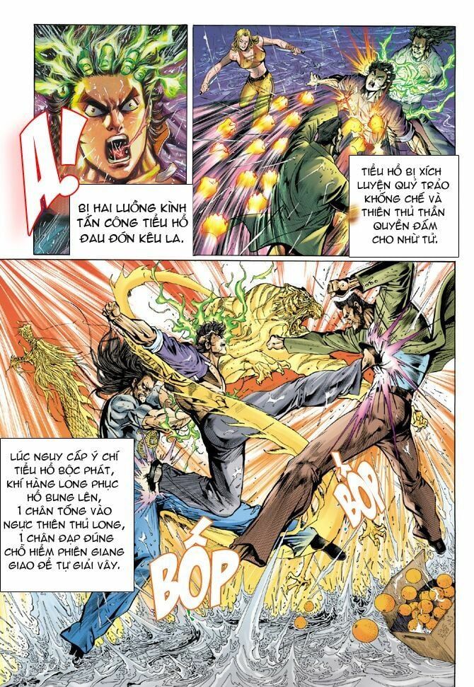 đọc truyện Tân Tác Long Hổ Môn Chương 29 ảnh 13 tại Thiên Thai Truyện