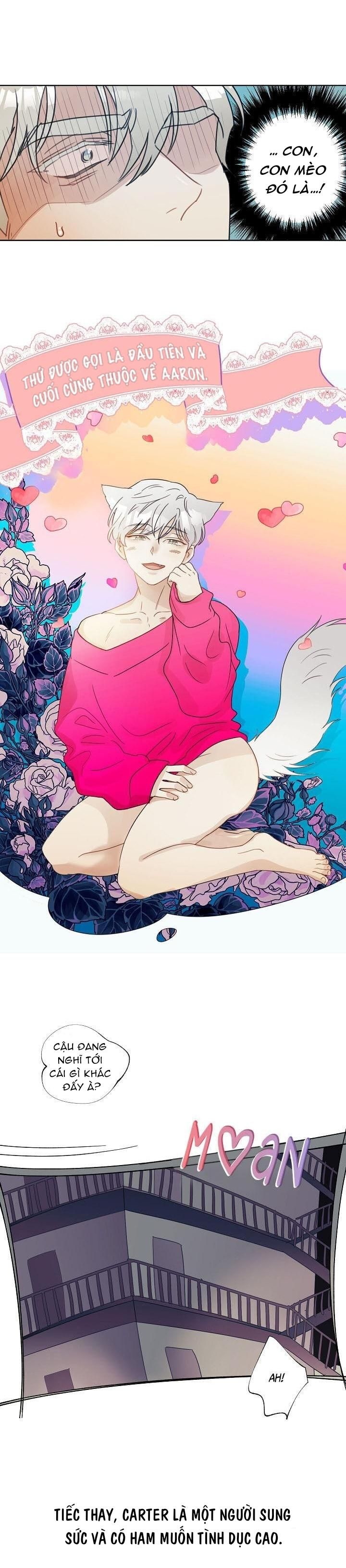 đọc truyện Tập Manhwa Ngắn Xôi Thịt 18+ Chương 28 ảnh 13 tại Truyện Dạ Ký