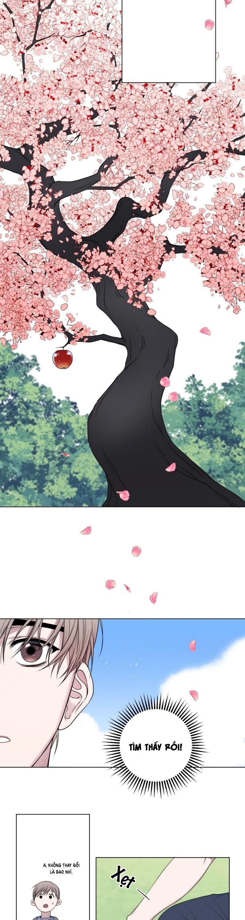 đọc truyện Tập Manhwa Ngắn Xôi Thịt 18+ Chương 3 ảnh 11 tại Truyện Dạ Ký