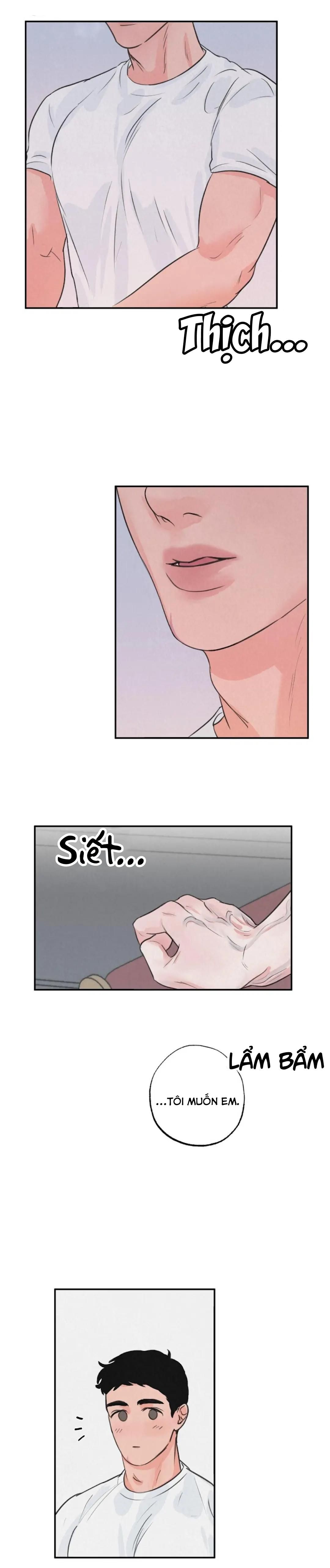 đọc truyện Tập Manhwa Ngắn Xôi Thịt 18+ Chương 36 ảnh 9 tại Truyện Dạ Ký