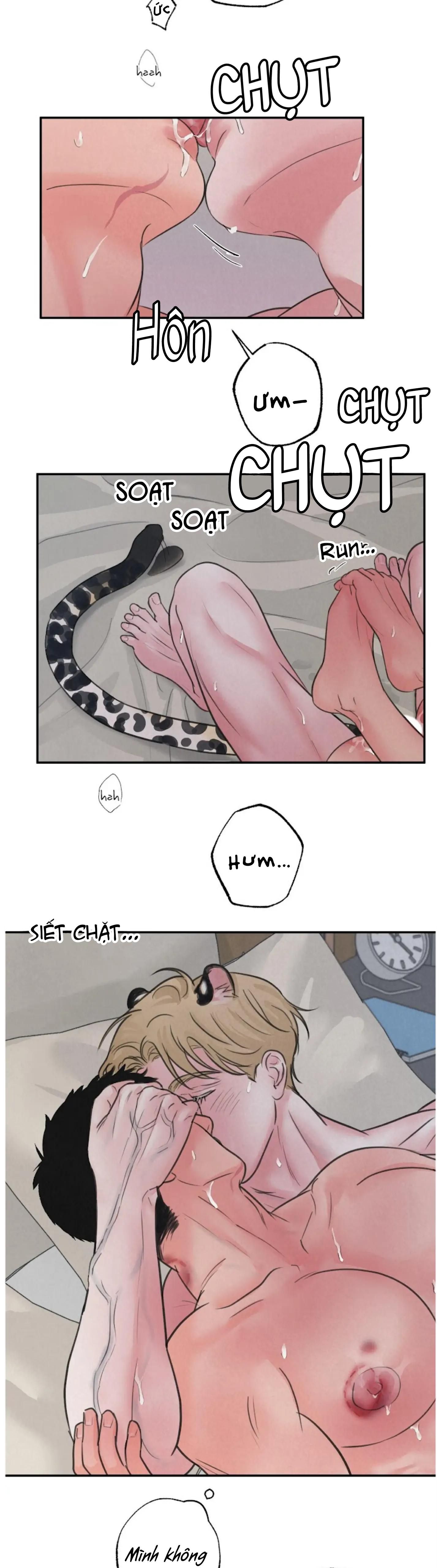 đọc truyện Tập Manhwa Ngắn Xôi Thịt 18+ Chương 38 ảnh 13 tại Truyện Dạ Ký