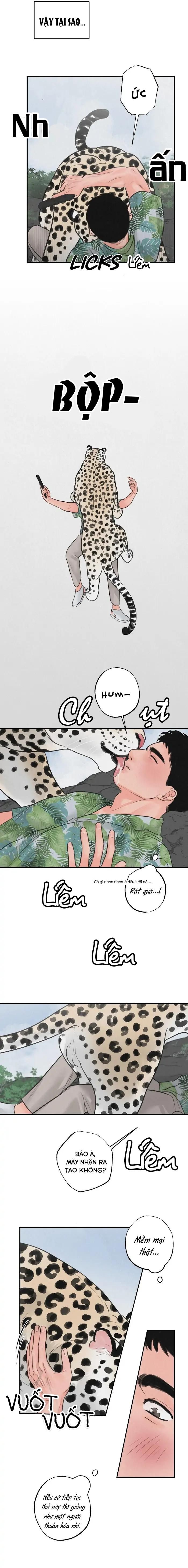 đọc truyện Tập Manhwa Ngắn Xôi Thịt 18+ Chương 39 ảnh 11 tại Truyện Dạ Ký