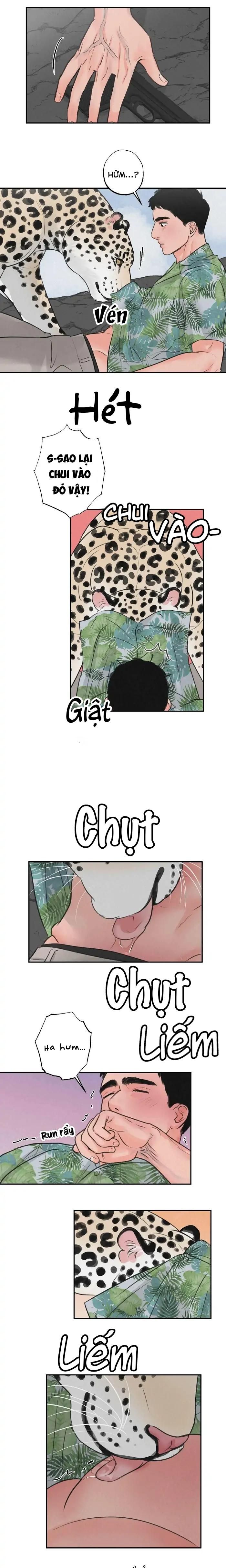đọc truyện Tập Manhwa Ngắn Xôi Thịt 18+ Chương 39 ảnh 12 tại Truyện Dạ Ký