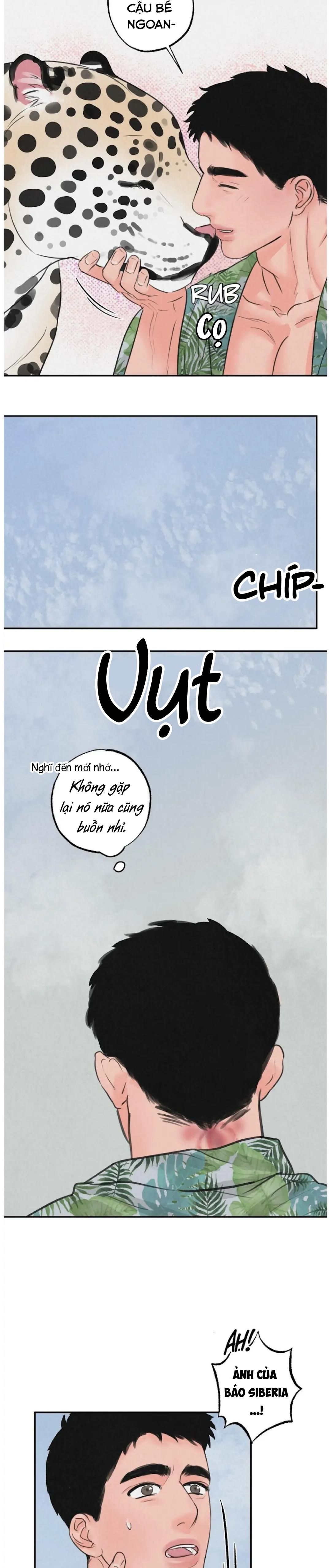 đọc truyện Tập Manhwa Ngắn Xôi Thịt 18+ Chương 40 ảnh 12 tại Truyện Dạ Ký