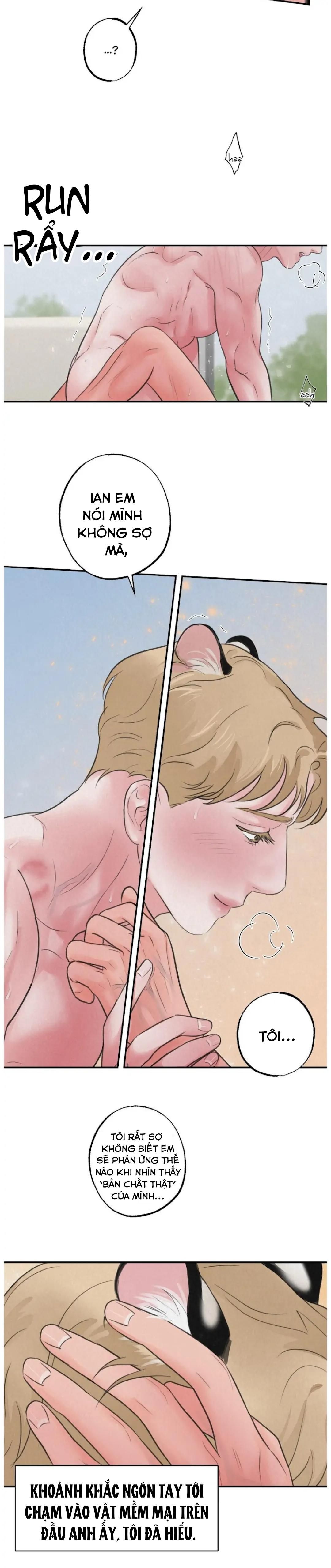 đọc truyện Tập Manhwa Ngắn Xôi Thịt 18+ Chương 42 ảnh 12 tại Truyện Dạ Ký