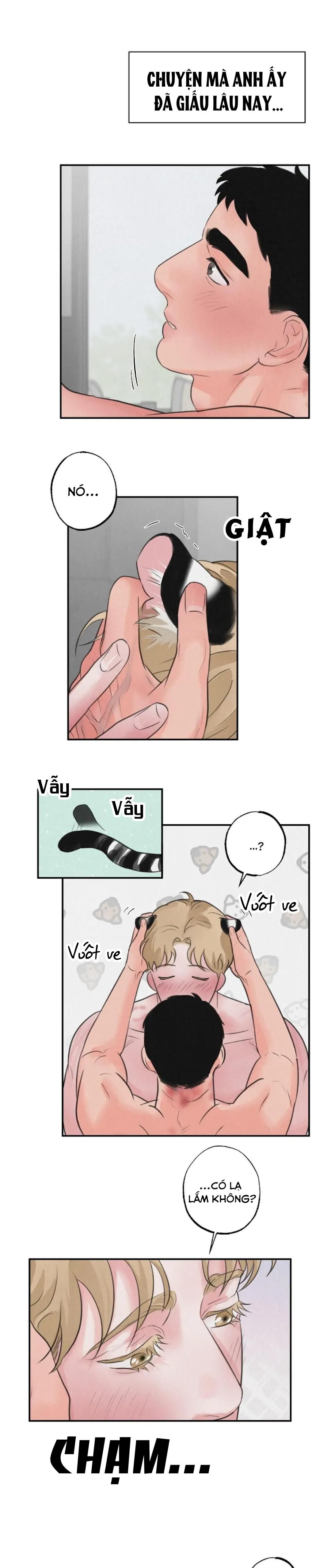 đọc truyện Tập Manhwa Ngắn Xôi Thịt 18+ Chương 42 ảnh 13 tại Truyện Dạ Ký