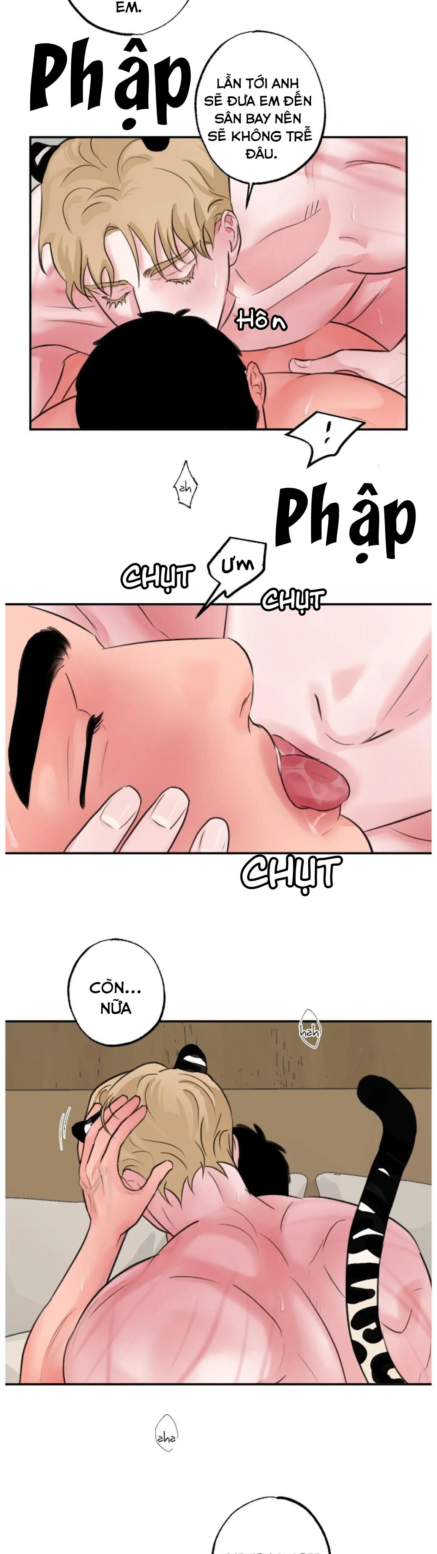 đọc truyện Tập Manhwa Ngắn Xôi Thịt 18+ Chương 43 ảnh 11 tại Truyện Dạ Ký