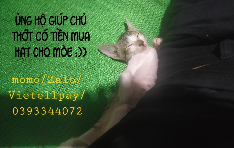 Tapestry-chúng Ta Đâu Phải Anh Em? Chương 2 page 2 - Giả Dược