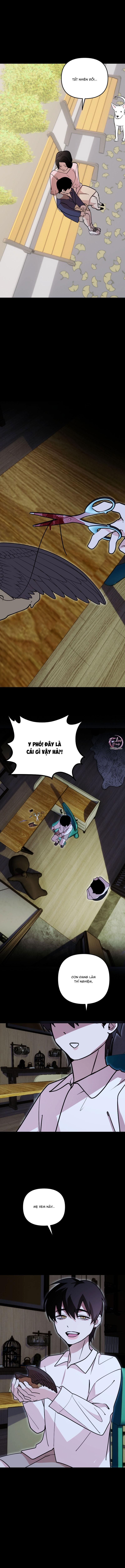 đọc truyện Tên Hàng Xóm Cứ Dán Mắt Vào Tôi Chương 60 ảnh 9 tại Thiên Thai Truyện