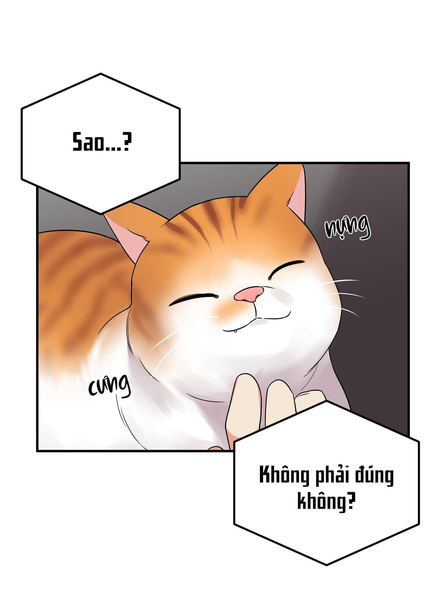 đọc truyện Tên Xấu Xa Của Tôi Xxx Chương 29 ảnh 17 tại Thiên Thai Truyện