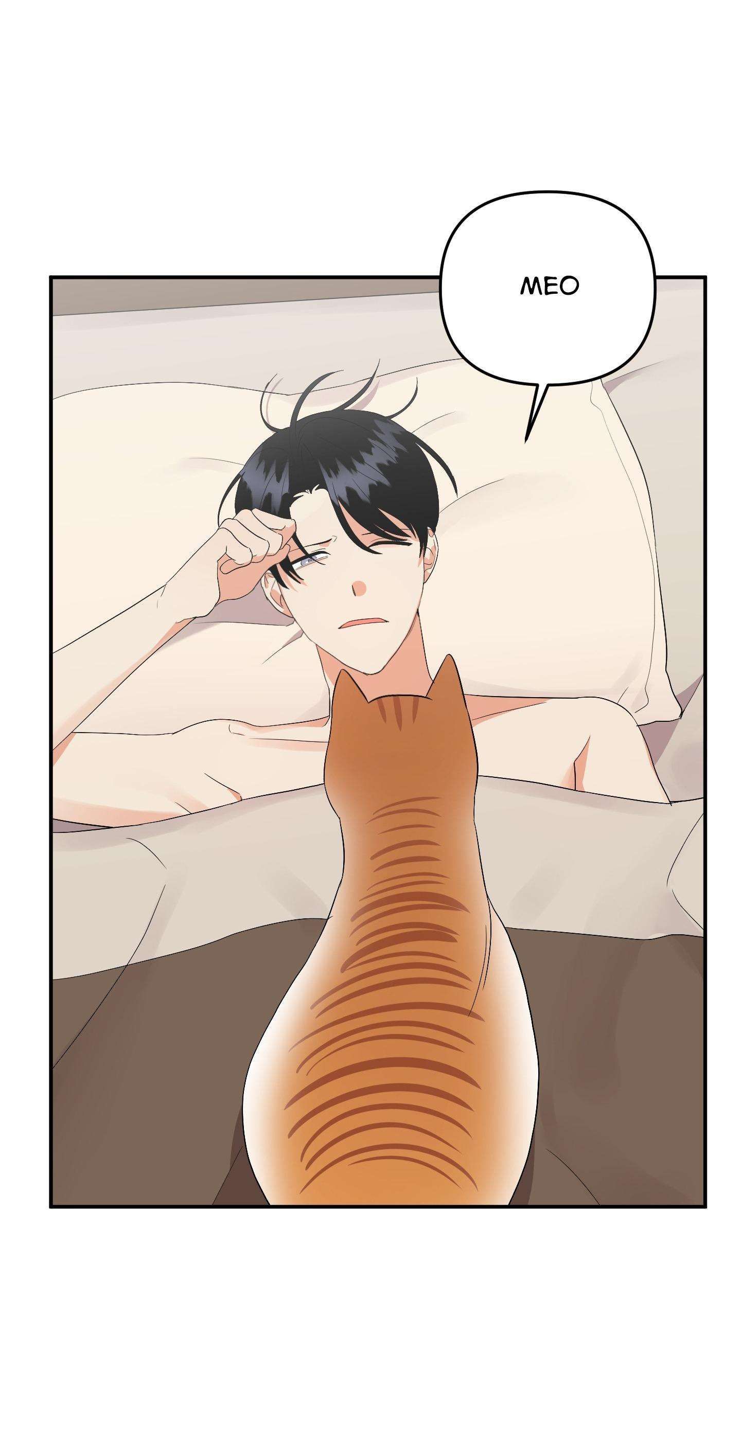 đọc truyện Tên Xấu Xa Của Tôi Xxx Chương 54 ảnh 40 tại Thiên Thai Truyện