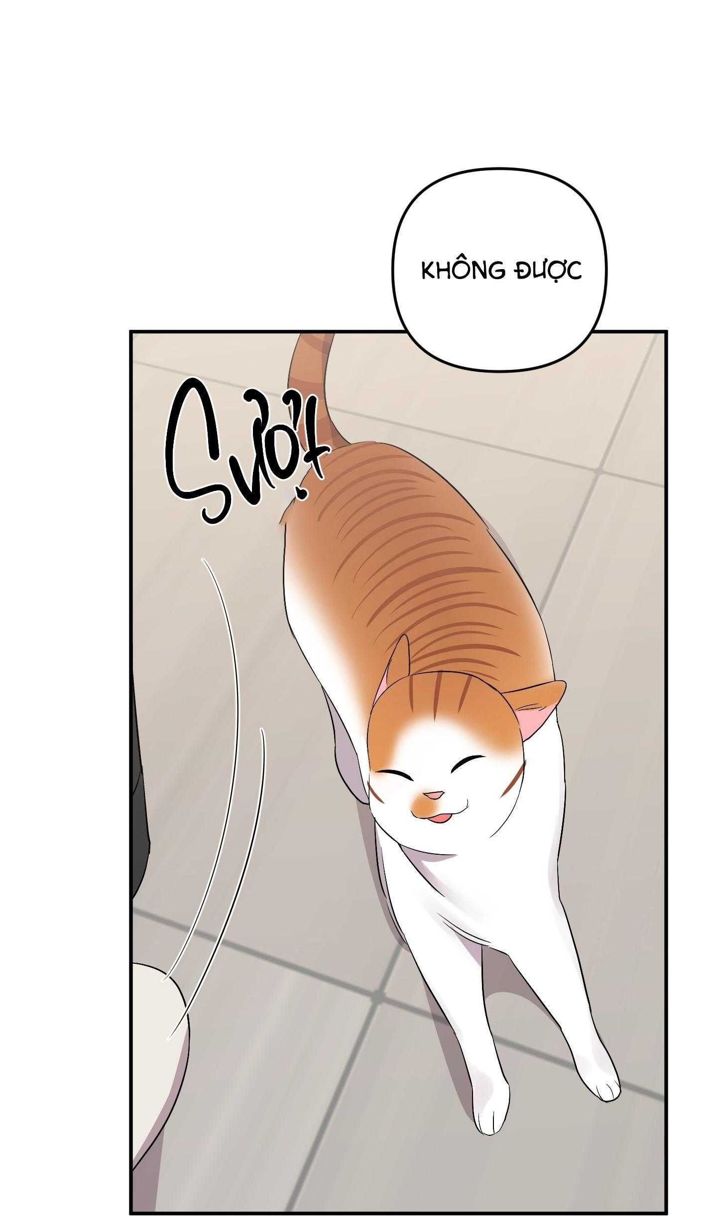 đọc truyện Tên Xấu Xa Của Tôi Xxx Chương 55 ảnh 66 tại Thiên Thai Truyện