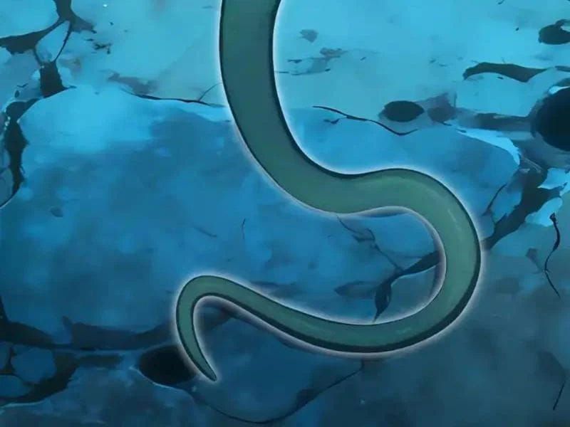 đọc truyện Thái Cổ Thập Hung: Người Khác Ngự Thú Ta Ngự Thú Nương Chương 104 ảnh 82 tại Thiên Thai Truyện