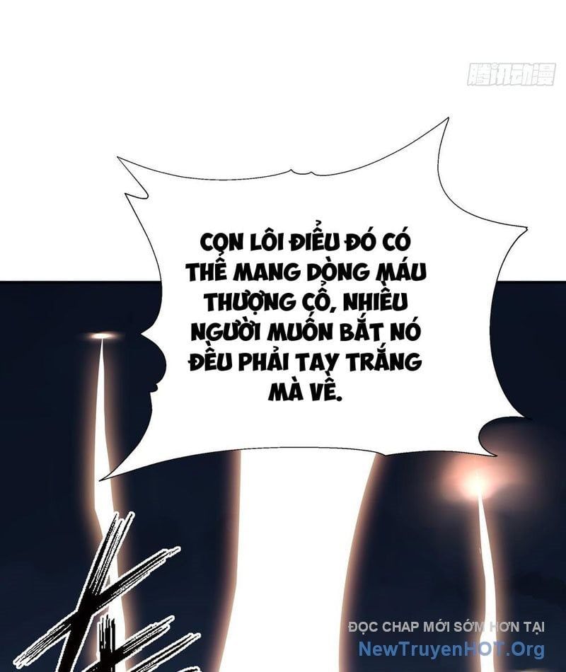 đọc truyện Thái Cổ Thập Hung: Người Khác Ngự Thú Ta Ngự Thú Nương Chương 14 ảnh 26 tại Thiên Thai Truyện