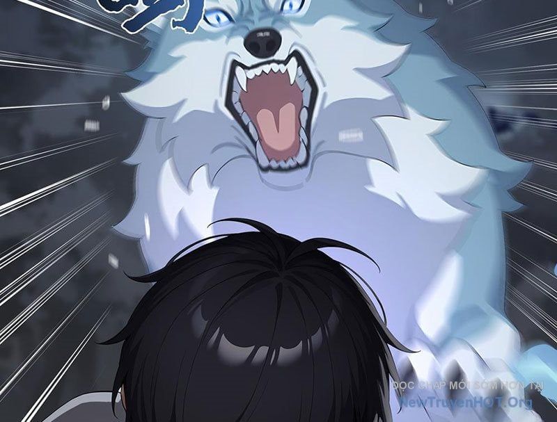 đọc truyện Thái Cổ Thập Hung: Người Khác Ngự Thú Ta Ngự Thú Nương Chương 3 ảnh 164 tại Thiên Thai Truyện