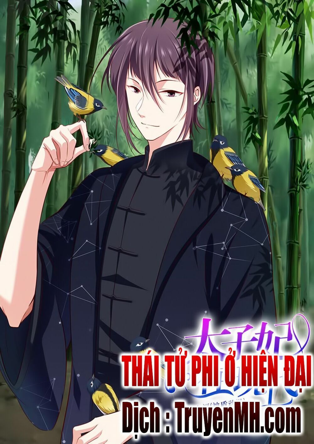 đọc truyện Thái Tử Phi Ở Hiện Đại Chương 62 ảnh 3 tại Thiên Thai Truyện