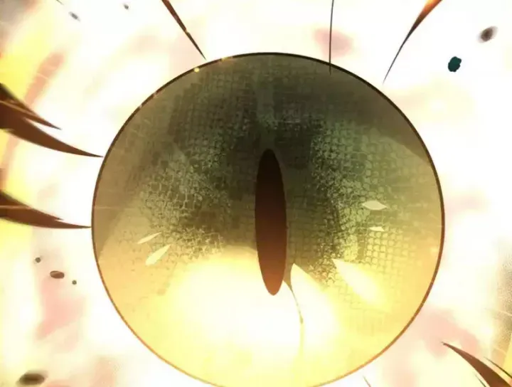 đọc truyện Thảm Họa Tử Linh Sư Chương 239 ảnh 106 tại Thiên Thai Truyện