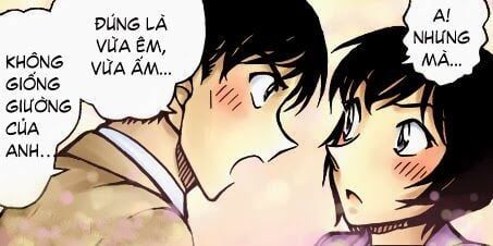 đọc truyện Thám Tử Conan Chương 867 ảnh 18 tại Thiên Thai Truyện