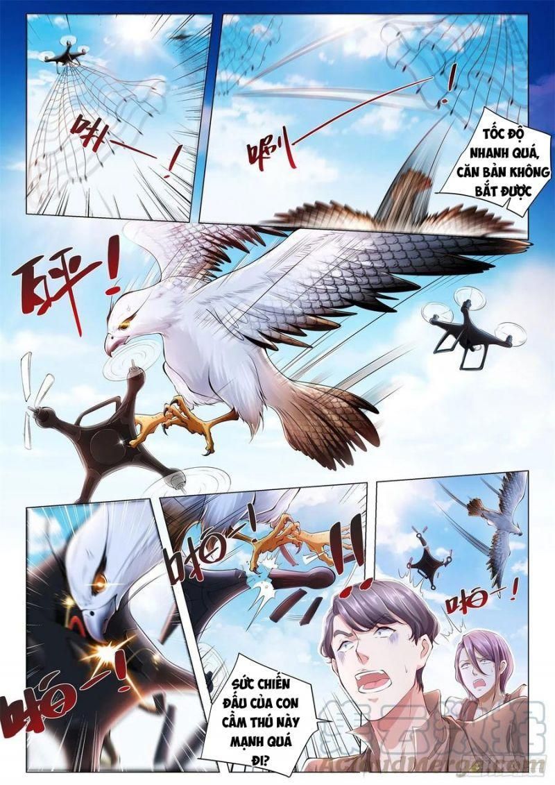 đọc truyện Thần Hào Chi Thiên Hàng Hệ Thống Chương 257 ảnh 8 tại Thiên Thai Truyện