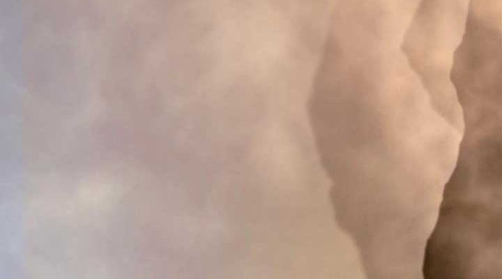 đọc truyện Thanh Mai Trúc Mã Của Đệ Nhất Thiên Hạ Chương 27 ảnh 75 tại Thiên Thai Truyện